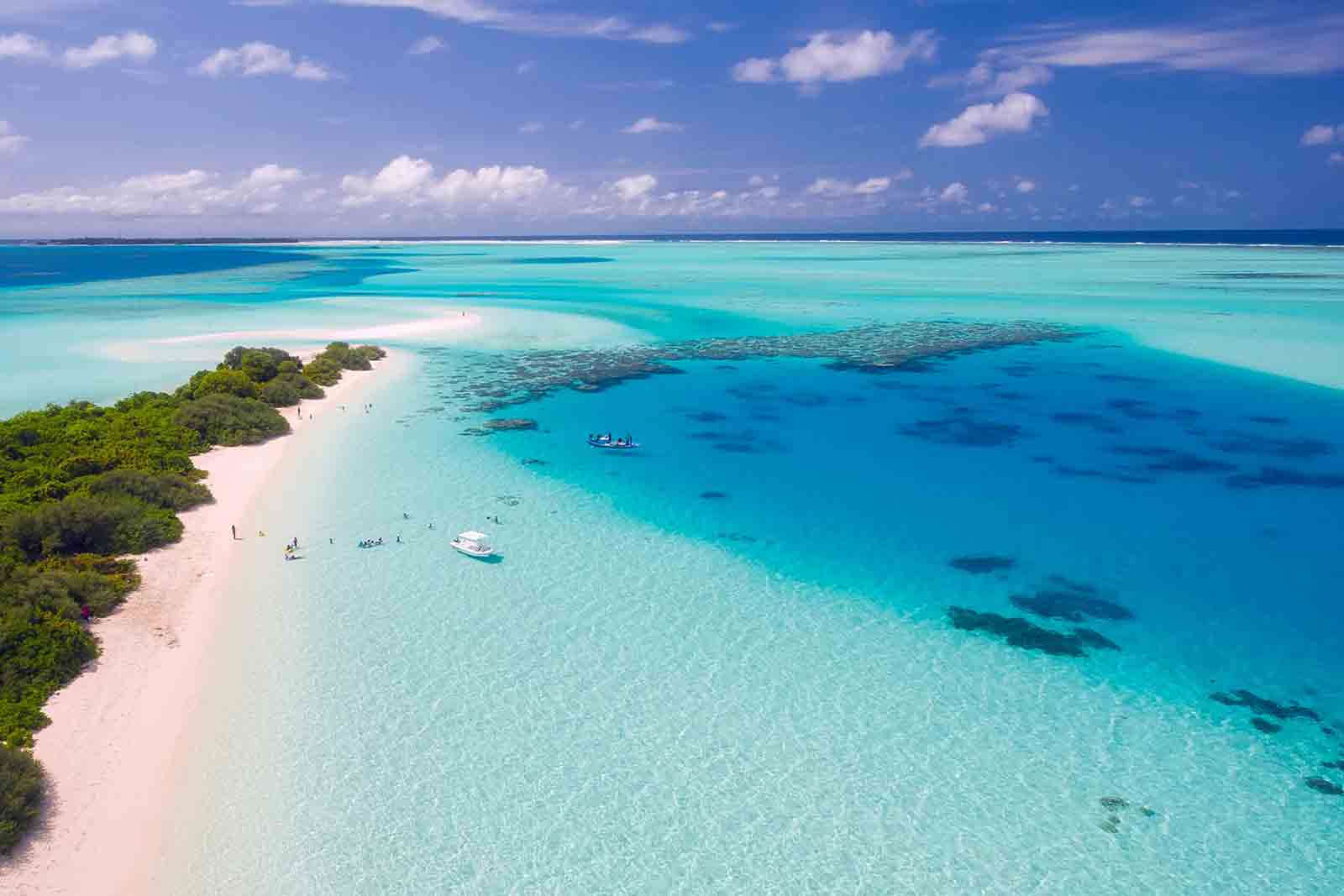 Holi Festival of Colors – Experience India at its finest